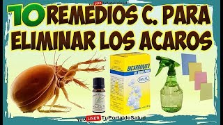 10 Remedios Caseros para Eliminar los Ácaros  Elimina los Ácaros de tu Cama Rápidamente [upl. by Ahsinotna572]