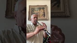 Gigue Mélodie B 12 lygeros music clarinet musicalinstrument viralshort ​⁠ [upl. by Munniks88]