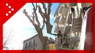 Voragine a Napoli Vigili del Fuoco al lavoro al Vomero per rimuovere lalbero [upl. by Wootten]