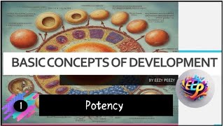 POTENCY  Basic concepts of developmental biology Developmental biology [upl. by Consuela]