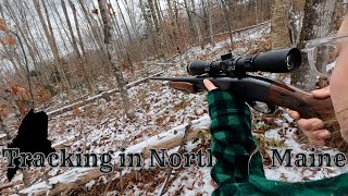 Tracking a Whitetail Buck in Northern Maine  Still Hunting  Sitting Game Trails  Deer Season [upl. by Hagan]