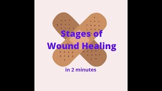 Stages of Wound Healing in 2 mins [upl. by Lyrahc]