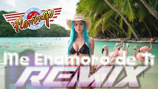 Grupo Flamingo  Me Enamoro de Ti Remix Grupero 12quot Extended Mix Grupera [upl. by Aikmat]