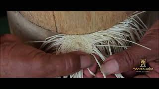 How the real Panama Hat Montecristi is made by hand in Ecuador [upl. by Eimmelc]