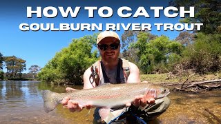 Goulburn River Fishing for BIG Brown and Rainbow Trout  Plus Plenty of Fishing Tips and Techniques [upl. by Gregor725]