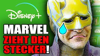 DISNEY STOPPT Daredevil Serie Zu SCHLECHT [upl. by Kerek663]