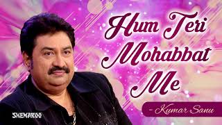 Hum Teri Mohabbat Mein  Phool Aur Angaar  Mithun Chakraborty  Kumar Sanu amp Sadhana Sargam Hits [upl. by Aicele382]