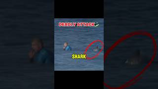 Surfer Gets ATTACKED BY SHARK LIVE… viralvideos surf ocean waves beach fishing shorts [upl. by Joiner]