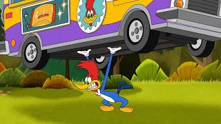 Food Truck Showdown  1 Hour of Woody Woodpecker Full Episodes [upl. by Lletram]