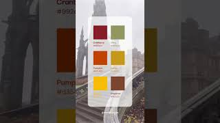 We draw inspiration from the rich and diverse fall color palettes minimal colours colourpalette [upl. by Lerad]