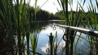 Hartley Wintney Angling Society Rivers and Lakes [upl. by Camarata]