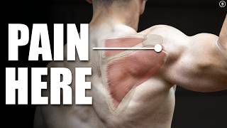 Rotator Cuff Tear Rehab amp Exercises Shoulder Pain Tendinitis Impingement [upl. by Enaz13]