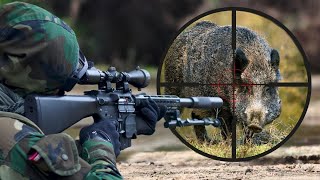 TOP 100 AMAZING WILD BOAR HUNTS BEST SCENES HOG HUNTS PIG TOP 100 [upl. by Stacee]