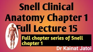 Snell Clinical Anatomy Lecture 15 Part 3 Capillaries and sinusoids Anatomy and Clinicals [upl. by Chyou]