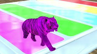 Learn Colors With Animals  Animal Animation  Pink Tiger  Paint animals part 01 [upl. by Jenette]