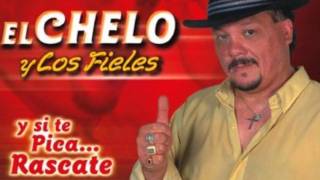 el chelo y los fieles  sin documento [upl. by Nylaras70]