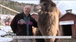 ANIMAUX  Une arche de Noé au coeur du Jura [upl. by Sari]