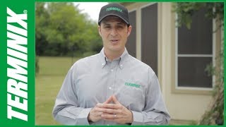 Protect Home From Termites  Termite Estimate  Terminix [upl. by Yznil]