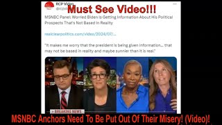 MSNBC Anchors Need To Be Put Out Of Their Misery Video [upl. by Xineohp659]