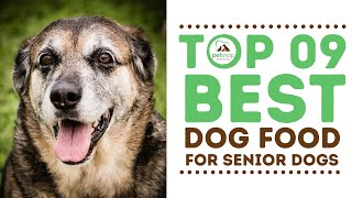 Top Best Dog Foods for Senior Dogs [upl. by Hammer]