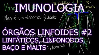 Aula Imunologia  Órgãos Linfoides  Vasos Linfáticos Linfonodos Baço e MALTs  Imunologia 5 [upl. by Giltzow945]