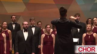 Collegium Musicum Berlin Sfogava con le stelle INTERN KAMMERCHORWETTBEWERB MARKTOBERDORF 2017 [upl. by Grantland]