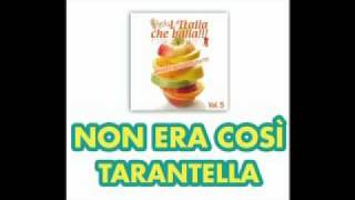 NON ERA COSì Tarantella  LITALIA CHE BALLA Vol 5  La Musica Da Ballo allItaliana [upl. by Anyer508]