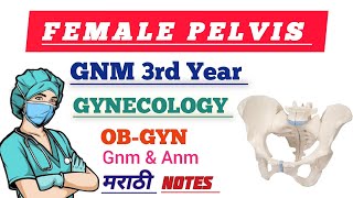 FEMALE PELVIS  GNM 3rd YEAR  GNM NURSING LECTURE IN MARATHI [upl. by Airotna]