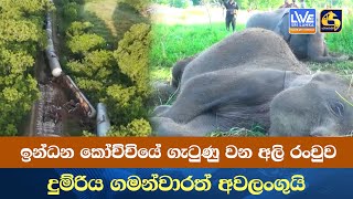 ඉන්ධන කෝච්චියේ ගැටුණු වන අලි රංචුව  දුම්රිය ගමන්වාරත් අවලංගුයි [upl. by Bidle]