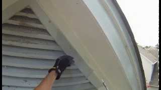 Bat Removal Using One Way Door  WinstonSalem NC [upl. by Hannala273]