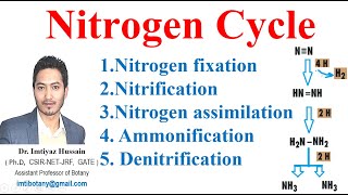 Nitrogen Cycle Nitrification assimilation Ammonification nitrogenfixation nitrogencycle ecology [upl. by Arriaes]