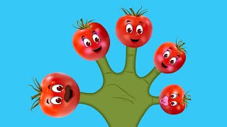 The Finger Family Tomato Family Nursery Rhyme  Tomato Finger Family Songs [upl. by Esinej]