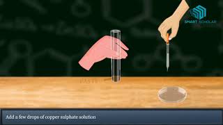 Test food for Starch Protein Fat amp Sugar Science Animation [upl. by Anatol614]