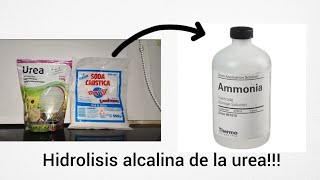 sintesis de amoniaco en disolucion acuosa  hidrolisis alcalinas de la urea [upl. by Roscoe]