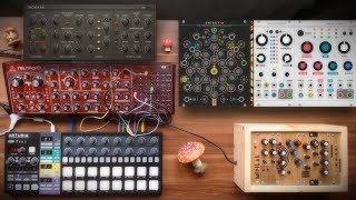 VCV Rack amp Neutron  Macro [upl. by Burner779]