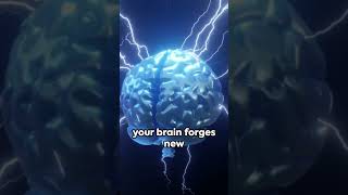 How To Use The Billionaire Brain Wave Program [upl. by Trilbee]