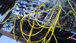 Harvestman Polivoks VCGVCFLPG wogglebug euro modular synth [upl. by Keily727]