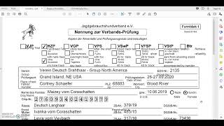 How to Complete Formblatt 1 for HZP Entry [upl. by Bank448]