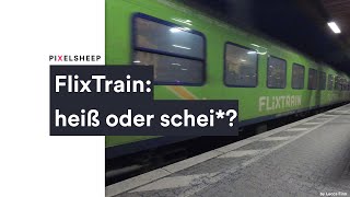 FlixTrain  Was kann der BilligZug I Review I Erfahrungsbericht [upl. by Tnecnivleahcim377]