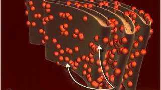 Ribosome 3D [upl. by Patterson909]