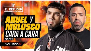 Anuel y Molusco cara a cara por Ozuna por poco Cantante vista con Camisa de Moli Lupillo seduce [upl. by Nivej495]