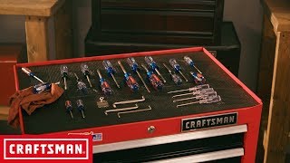 CRAFTSMAN 25 Piece Precision MultiBit Screwdriver Set  Tool Overview [upl. by Cadal]