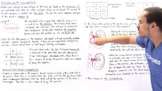 Rh Factor and Rh Incompatibility [upl. by Dnalyar]