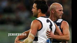 Paul Chapman and Jimmy Bartel Geelong Cats Superstars Short Montage [upl. by Olotrab9]