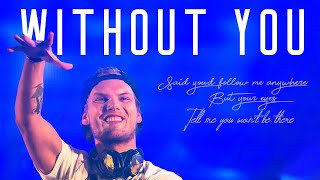 Avicii  Without You  TRADUÇÃOLEGENDA  Anonymous Music [upl. by Avigdor805]