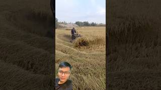 Compact rice harvester sonlv [upl. by Elodia69]