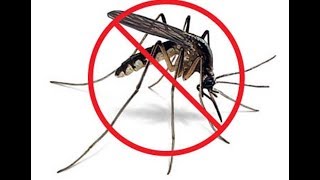 Como hacer tres Repelentes caseros para mosquitos y moscas [upl. by El]