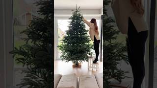 Tannenbaum aufstellen amp schmücken 🎄 mit der ganzen Familie 😍 shorts Mamiseelen [upl. by Hael]