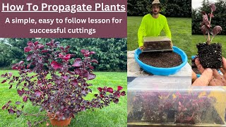 Learn How To Propagate Plants Like a PRO A Beginners Lesson and Guide [upl. by Ardnazxela154]