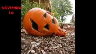 Decomposing Pumpkins Timelapse [upl. by Survance]